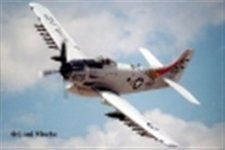 skyraider (Small).jpg