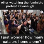 FeministsProtestKavanaugh.jpg