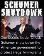 SchumerShutdown.jpg