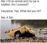 InsuranceClaim.jpg