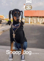 SnoopDogDog.png