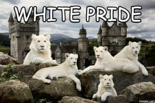 WhitePride.jpg