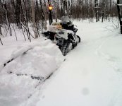 Griz drags deep snow DL.jpg