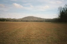 river bottom hay pasture.jpg