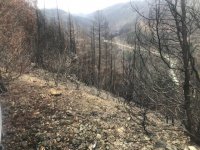 Canyon Creek fire.jpg