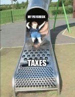 MyPaycheckTaxes.JPG