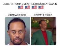 TrumpTiger2.jpg