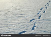 depositphotos_141744516-stock-photo-human-footprints-in-the-snow.jpg