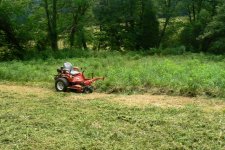 mower in grass.JPG