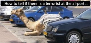 Terrorist Reserved Parking.jpg