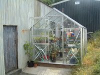 greenhouse 007.jpg