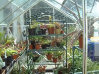 greenhouse 004.jpg