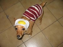 bacon-egg-betty-595.jpg