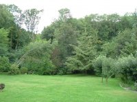 Garden from patio (Small).JPG