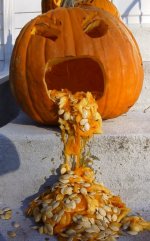 pumpkin1.jpg