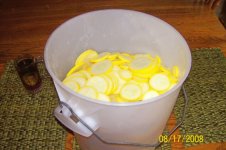 Bucket of squash (600 x 399).jpg