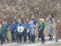 cows and school kids 010.jpg