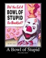 bowl of stupid.jpg