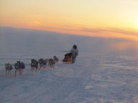 iditarod 077.jpg