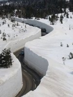 Snow road.jpg