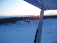 Sled Dogs at Sunset.jpg