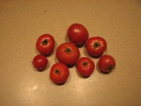 winter tomatoes 001.jpg