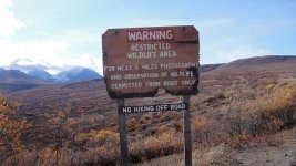 Sign chewed up by bears with nails.jpg