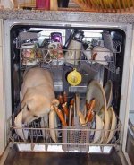 dishwasher.jpg