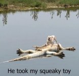 Squeaky Toy.jpg