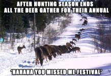 DeerFestival.jpg