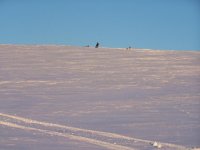 snow cat sledding 002.jpg