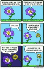 funny flower.jpg