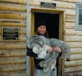 CanadianLynx.jpg