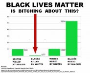 BLM_stats.jpg