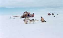 Dogs_traverse_snocat_1957-58-1_25760151_std.jpg