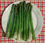 asparagus1.jpg