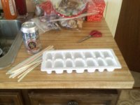 beer pops1.jpg