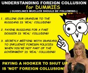 ColludingForDummies.jpg