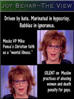 JoyBehar_TheView.png