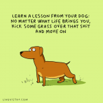 lesson from a dog.png