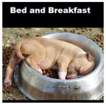 BedAndBreakfast.jpg