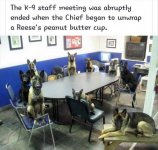 K9StaffMeeting.jpg