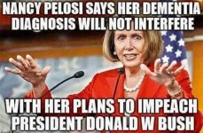 Pelosi2.jpg