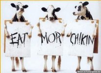 chikin.jpg