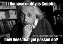 HomosexualityGenetic.jpg