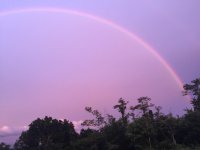 rainbow-2-June22_2017.jpg