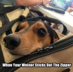 weinerq.jpg