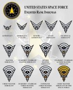 SpaceForceInsignias.jpg