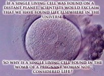 SingleLivingCell.jpg