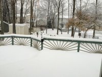 backyard 111714.jpg